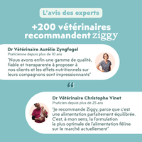 Avis vétérinaire des croquettes pour chat adulte stérilisé au saumon, saines, à base d'ingrédients naturelles et sans céréales