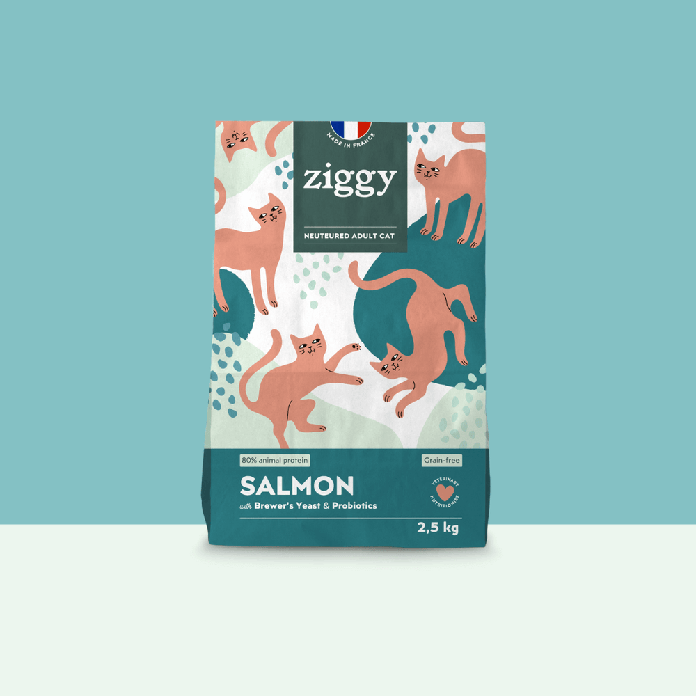 Paquet de 2,5kg de croquettes Ziggy pour chat adulte stérilisé au saumon, saines et sans céréales