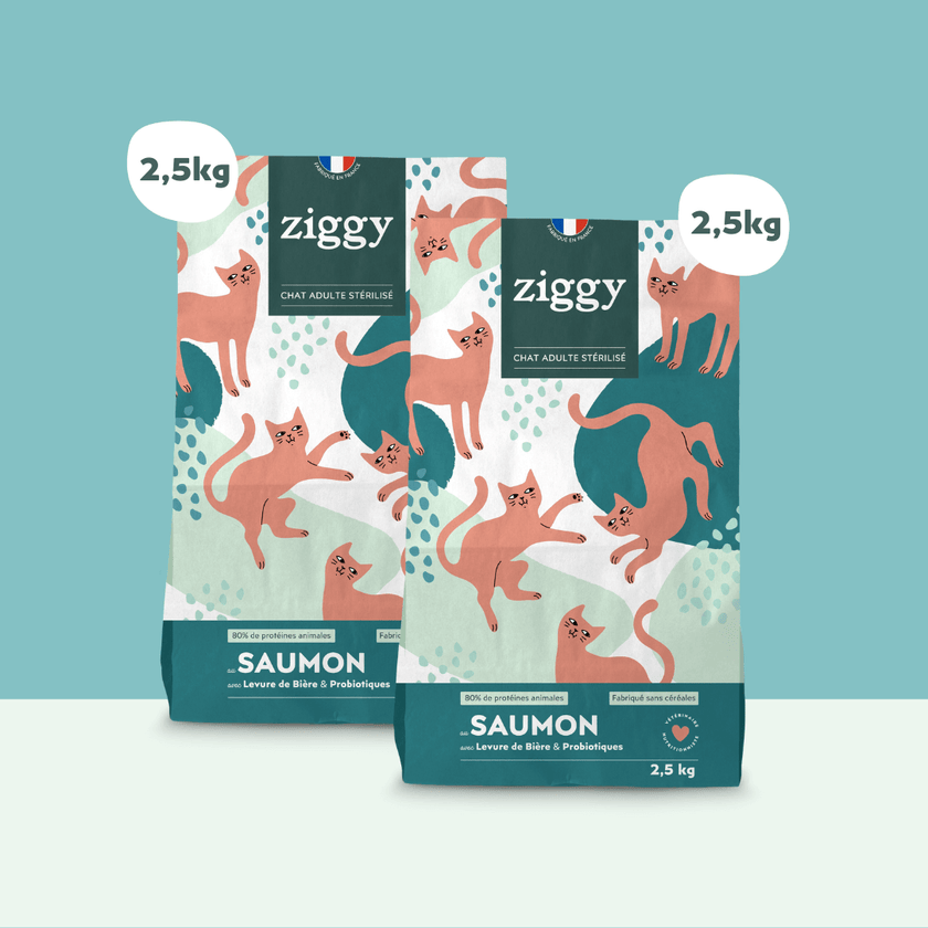 2 sachets de 2,5kg de croquettes Ziggy pour chat adulte stérilisé au saumon, saines et sans céréales