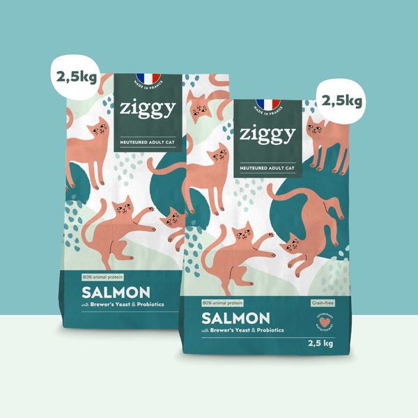2 sachets de 2,5kg de croquettes Ziggy pour chat adulte stérilisé au poulet, saines et sans céréales