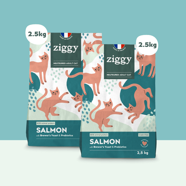 2 sachets de 2,5kg de croquettes Ziggy pour chat adulte stérilisé au poulet, saines et sans céréales