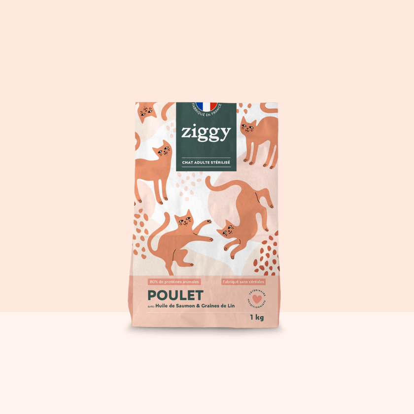 Sac de 1 kg de croquettes pour chat adulte stérilisé Ziggy au poulet