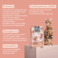 Composition of healthy, cereal-free chicken kibbles for adult sterilized cats, made from natural ingredients.