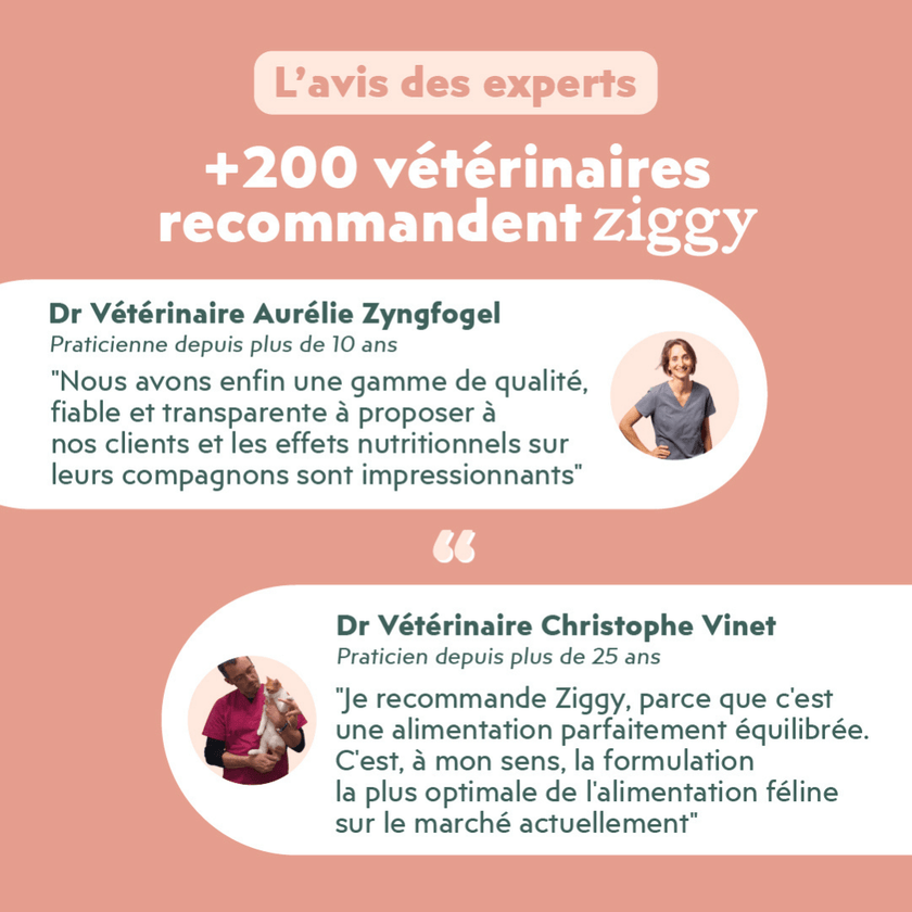 Avis vétérinaire des croquettes pour chat adulte stérilisé au poulet, saines, à base d'ingrédients naturelles et sans céréales