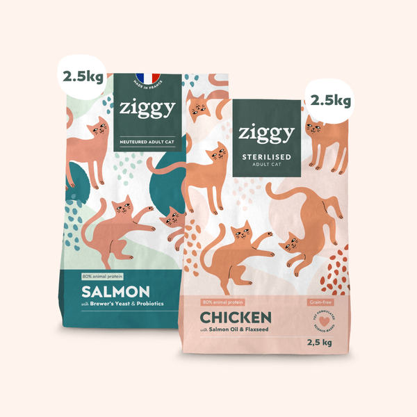2 sachets de 2,5kg de croquettes Ziggy pour chat adulte stérilisé au poulet, saines et sans céréales