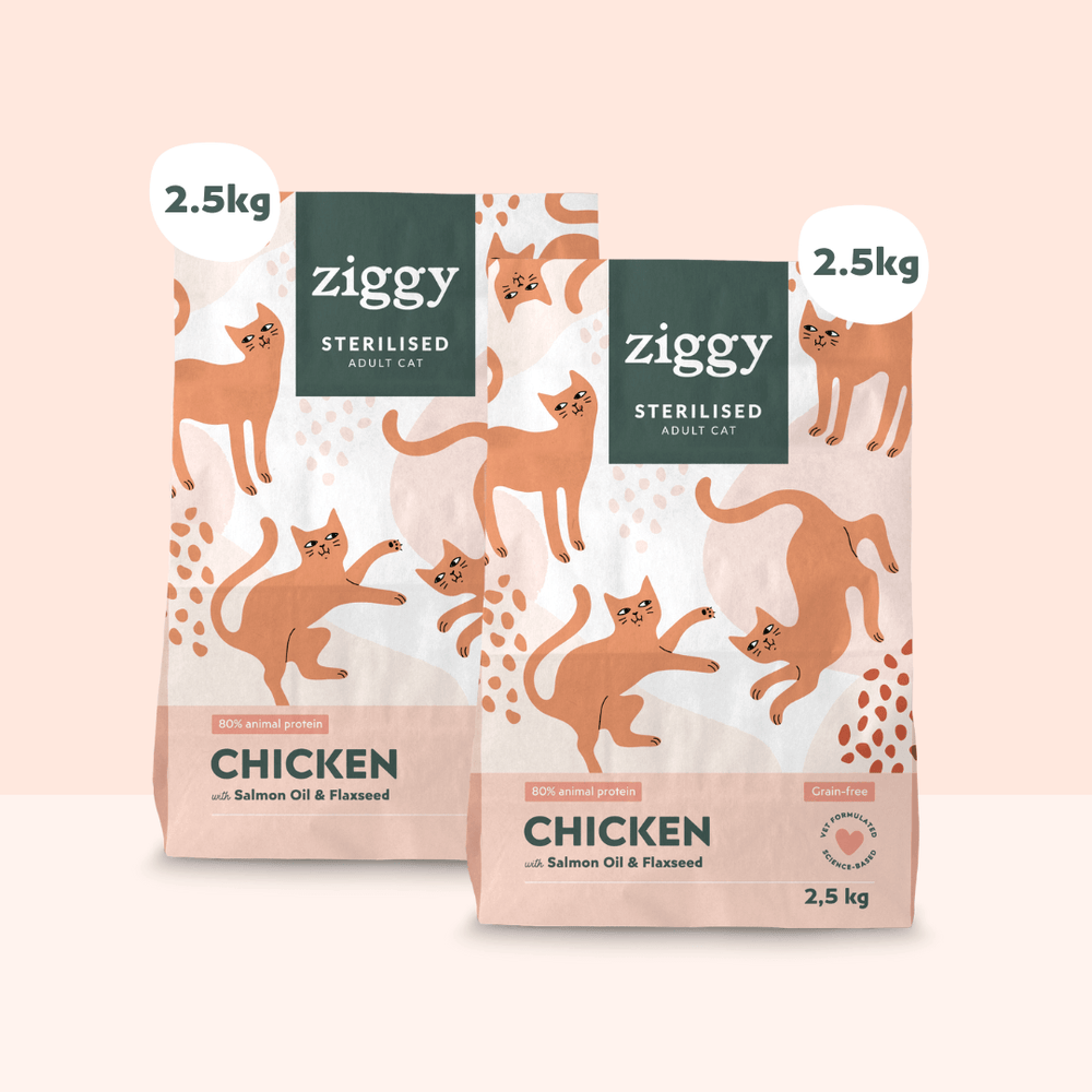 2 sachets de 2,5kg de croquettes Ziggy pour chat adulte stérilisé au poulet, saines et sans céréales