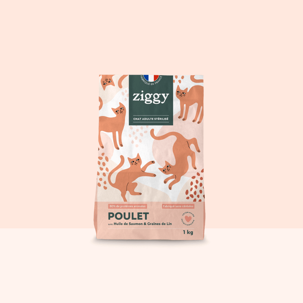 Sac de 2,5 kg de croquettes pour chat adulte stérilisé Ziggy au poulet