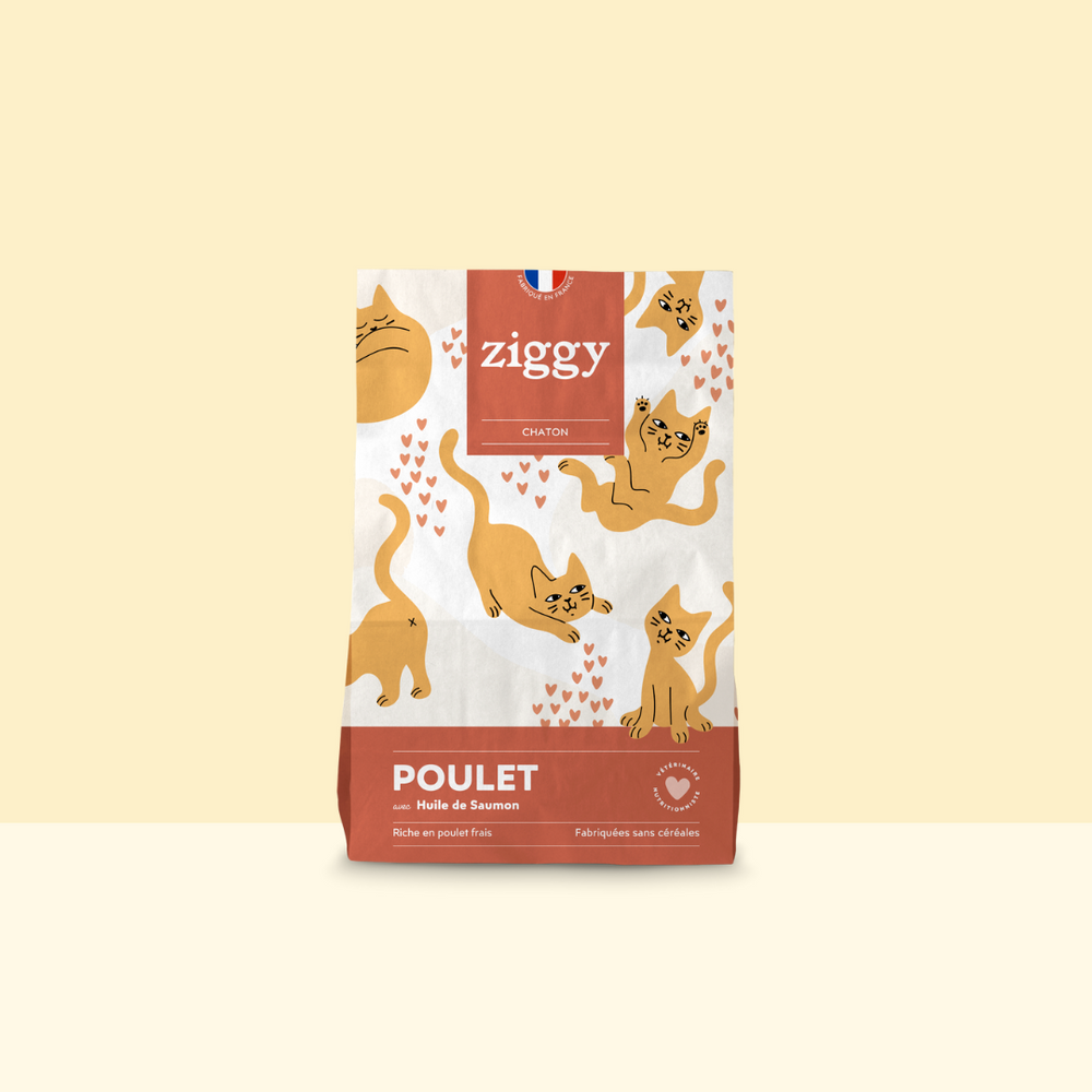 Croquettes Pour Chats Naturelles Et Sans C r ales Ziggy croquettes-pour-chats-naturelles-et-sans-c-r-ales-ziggy