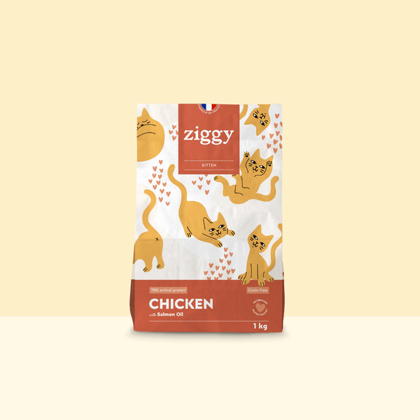 Paquet de croquettes pour chaton au poulet Ziggy