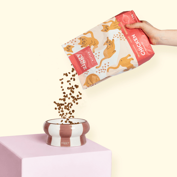 Main distribuant les croquettes pour chaton au poulet Ziggy dans une gamelle