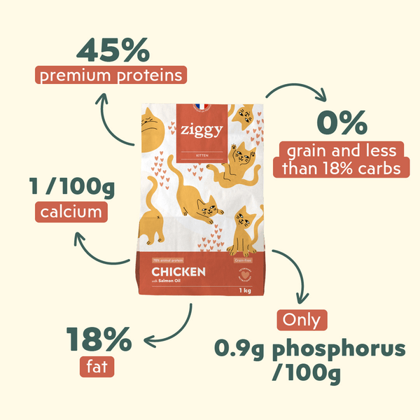 Ingrédients des croquettes Ziggy pour chaton au poulet, saine et sans céréales