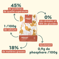 Ingrédients des croquettes Ziggy pour chaton au poulet, saine et sans céréales