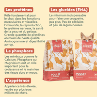 Composition des croquettes Ziggy pour chaton au poulet, saine et sans céréales