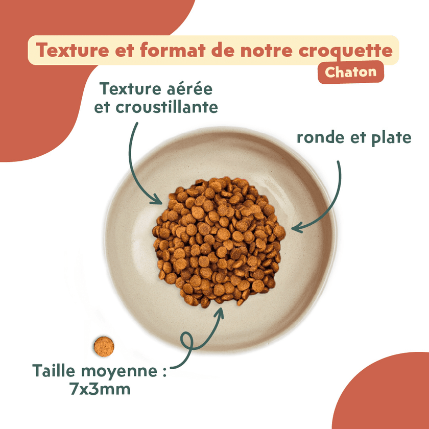 Texture et format des croquettes Ziggy pour chaton au poulet, saine et sans céréales