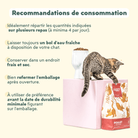 Recommandations de consommation des croquettes Ziggy pour chaton au poulet, saine et sans céréales