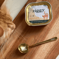 Cuillère à pâtée pour chat Ziggy
