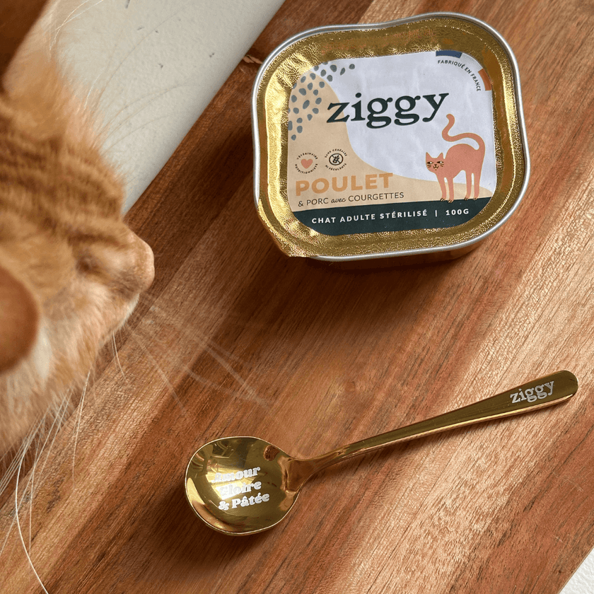 Cuillère à pâtée pour chat Ziggy
