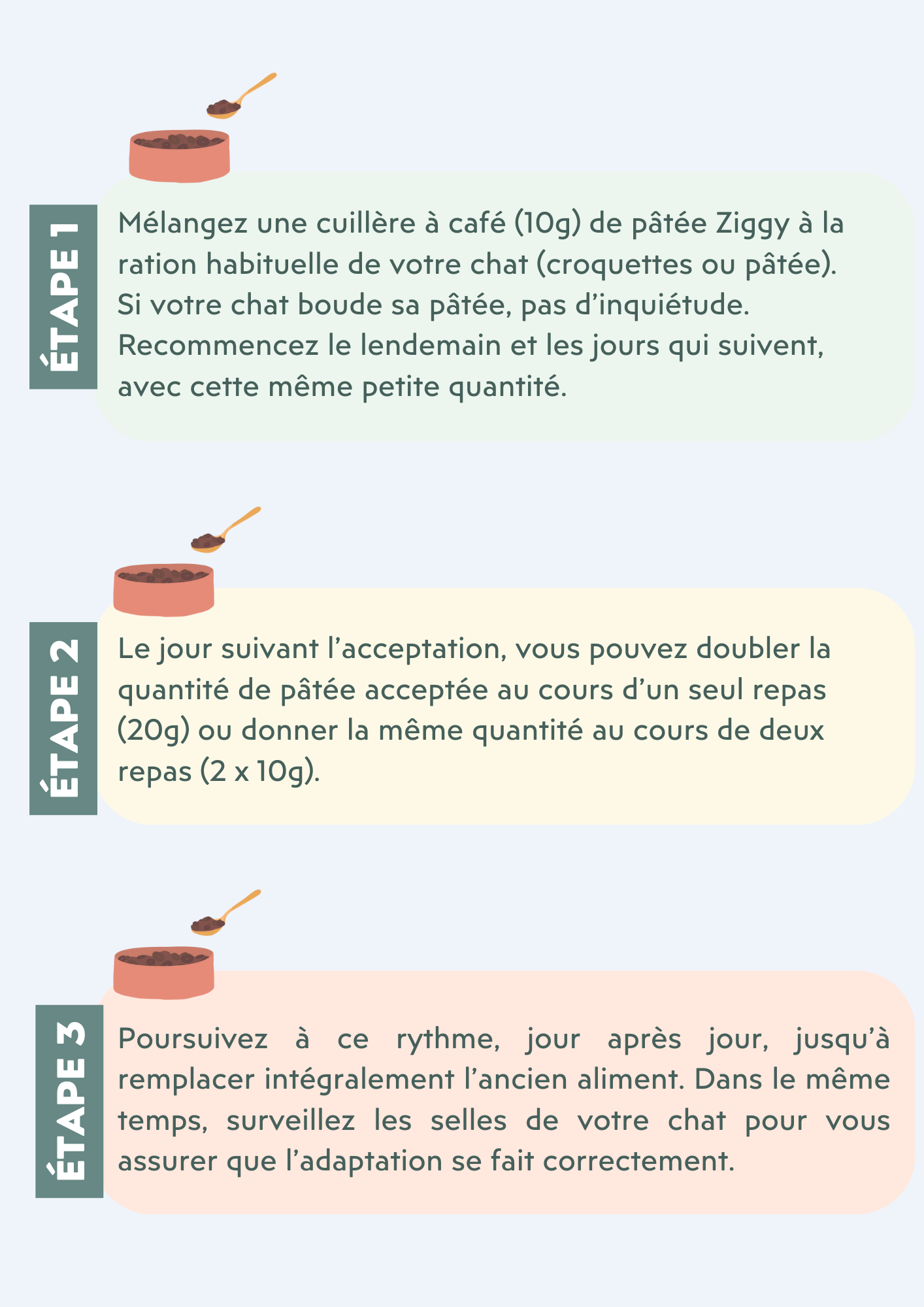 étapes de la transition alimentaire chez le chat