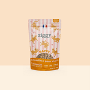 Paquet de friandises pour chat Ziggy au Saumon et à la Coco