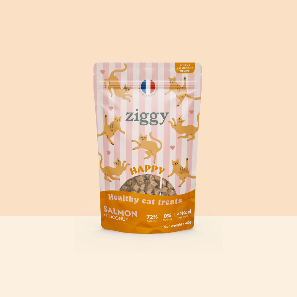 Paquet de friandises pour chat Ziggy au Saumon et à la Coco