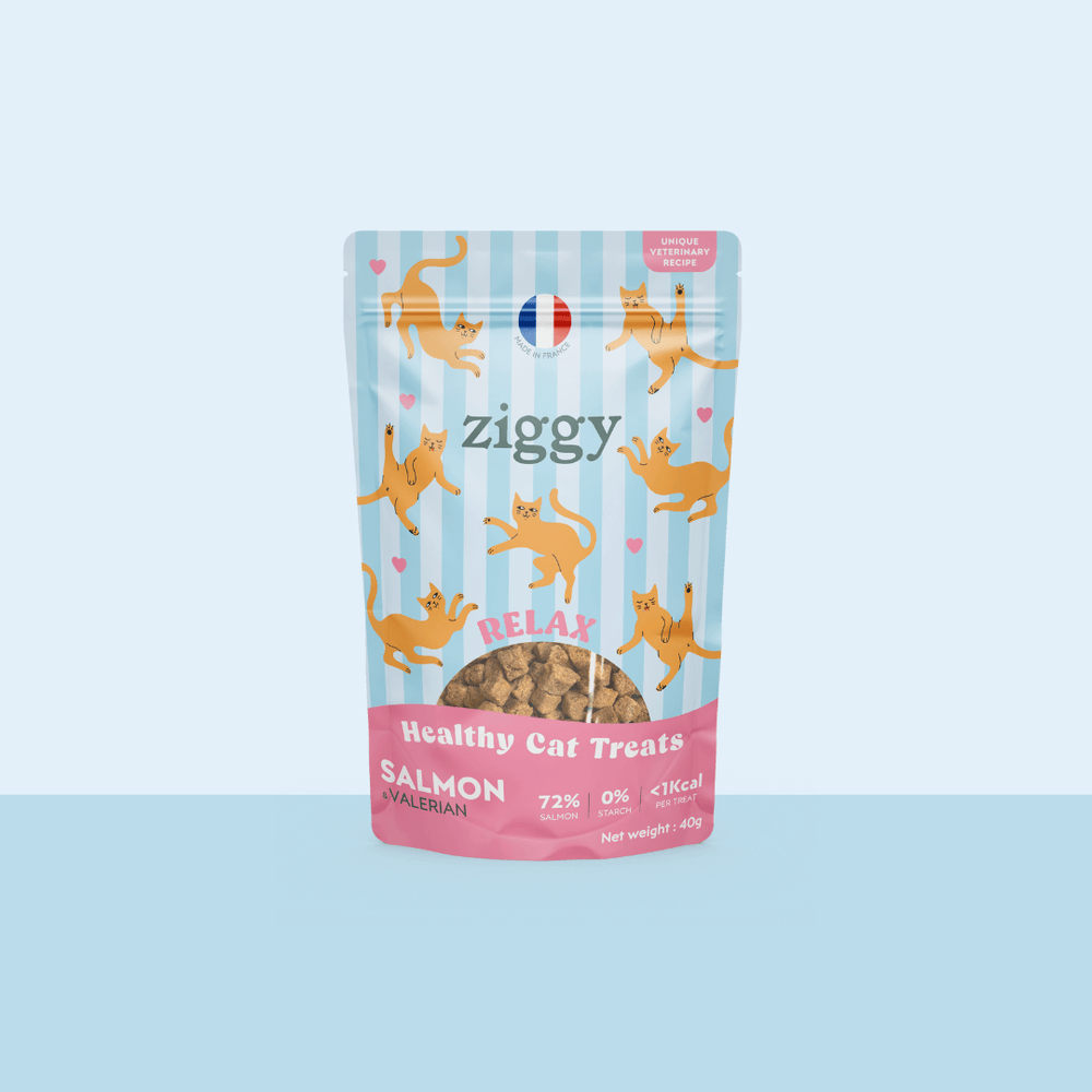 Paquet de friandises pour chat Ziggy au Saumon et à la Valériane