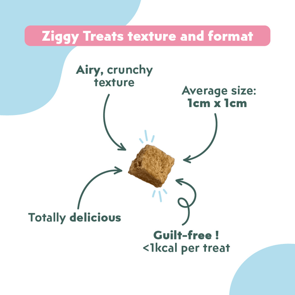 Texture et format des Friandises pour chat Ziggy saines, sans amidon et ultra gourmandes