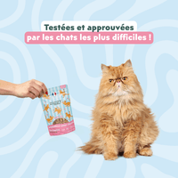 Chat adulte stérilisé qui adore les Friandises pour chat Ziggy saines, sans amidon et ultra gourmandes