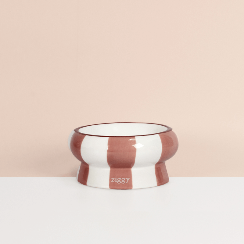 Gamelle pour chat Ziggy