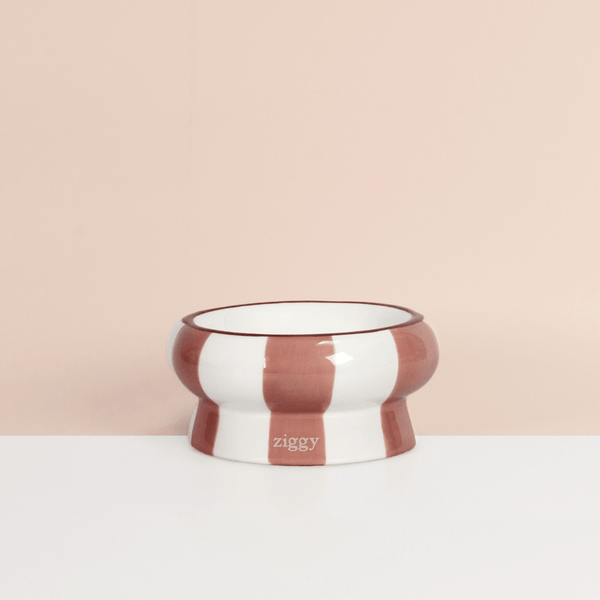 Gamelle pour chat Ziggy