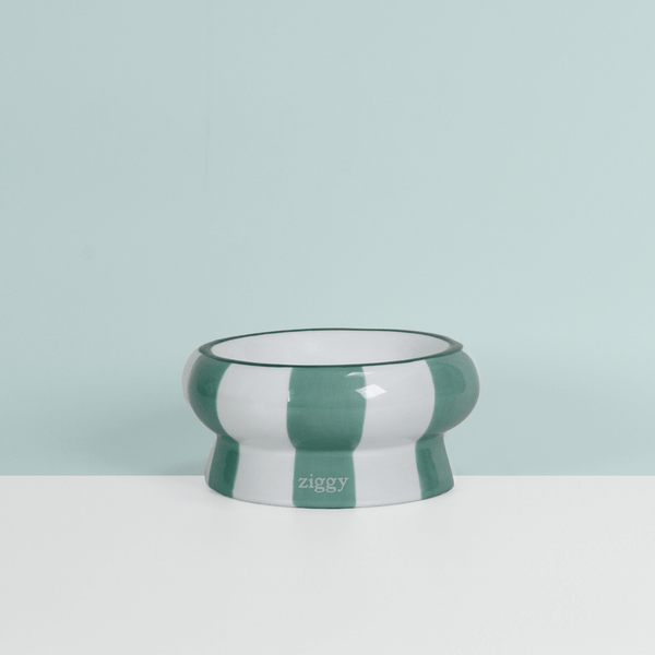 Gamelle pour chat Ziggy