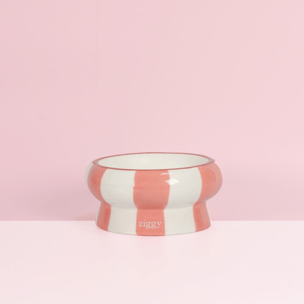 Gamelle pour chat Ziggy