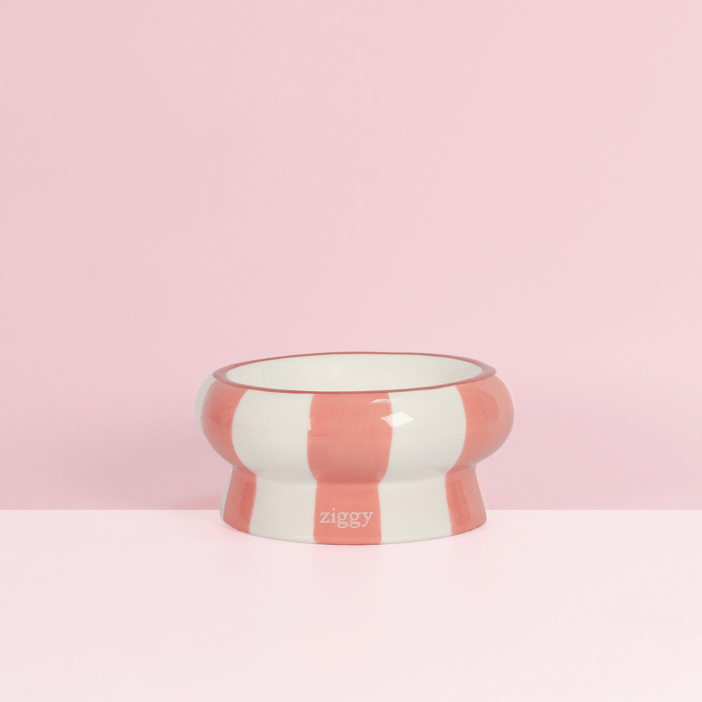 Gamelle pour chat Ziggy