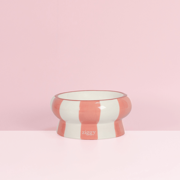 Gamelle pour chat Ziggy