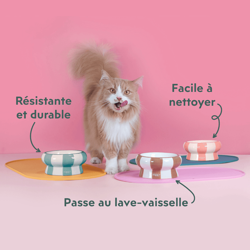 Gamelle pour chat Ziggy sur un tapis de gamelle pour chat Ziggy