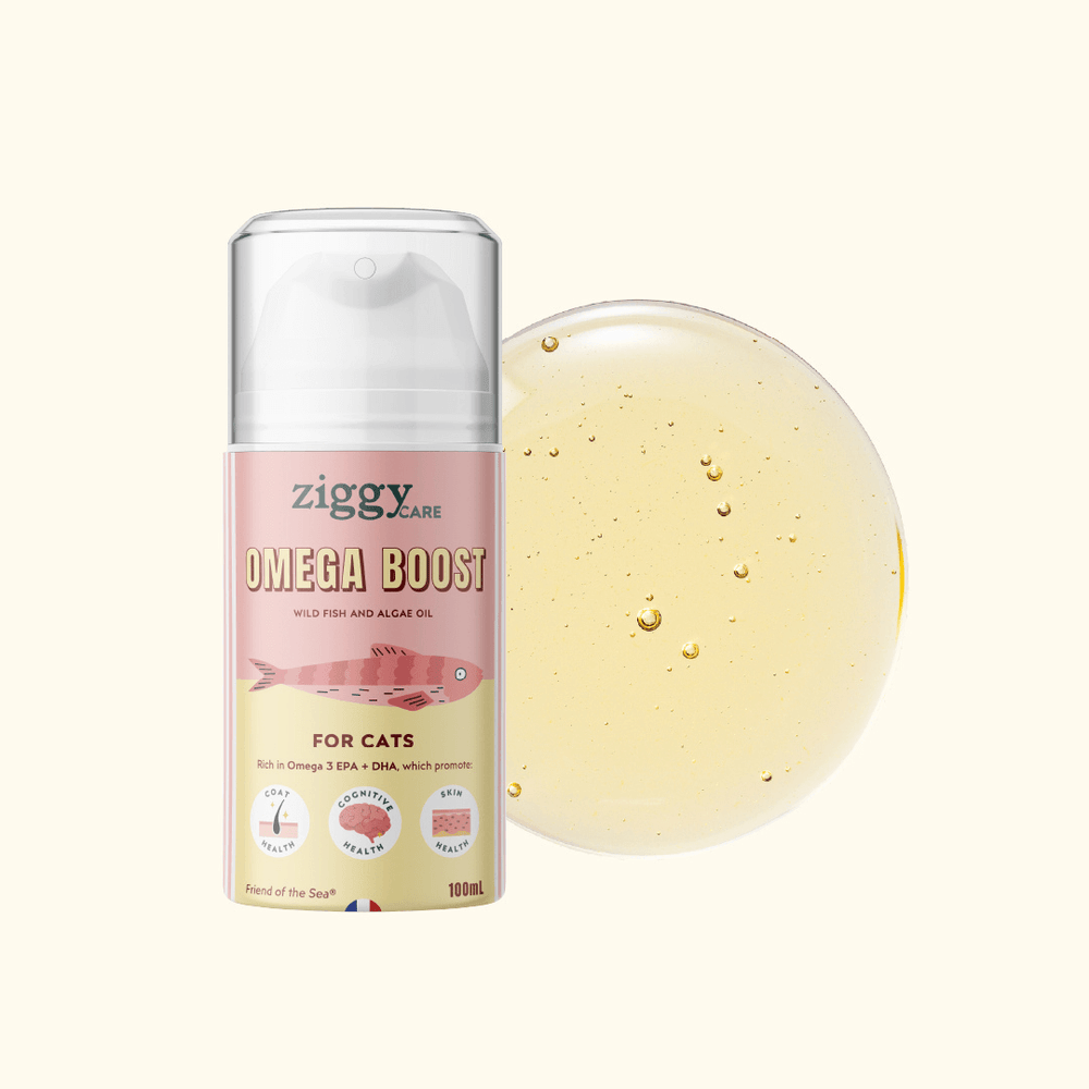 Huile de poisson et d'algues pour chat Oméga Boost de la marque Ziggy (contenance 100mL)
