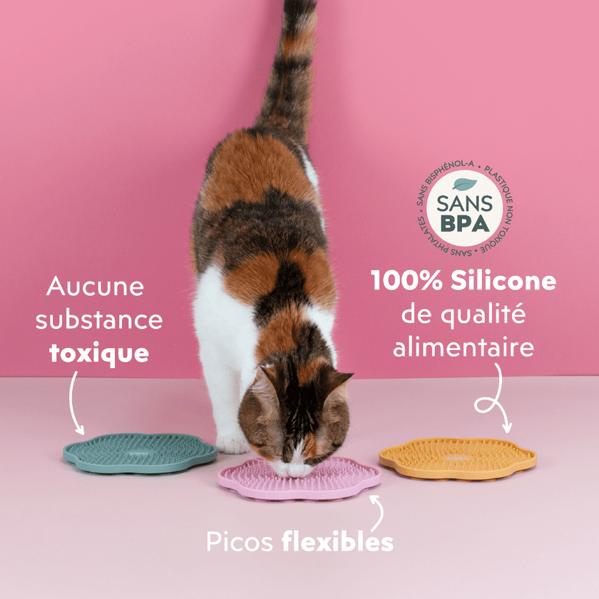 Ube, la plus jolie chatte du monde en train de manger de la pâtée pour chat adulte stérilisé Ziggy sur les tapis de léchage anti-glouton pour chat qui sont en silicone.