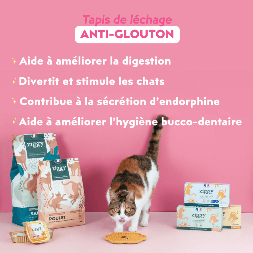 Chat adulte stérilisé très joli en train de manger de la pâtée pour chat adulte stérilisé Ziggy sur un tapis de léchage anti-glouton pour chat à côté des croquettes et pâtées pour chat Ziggy