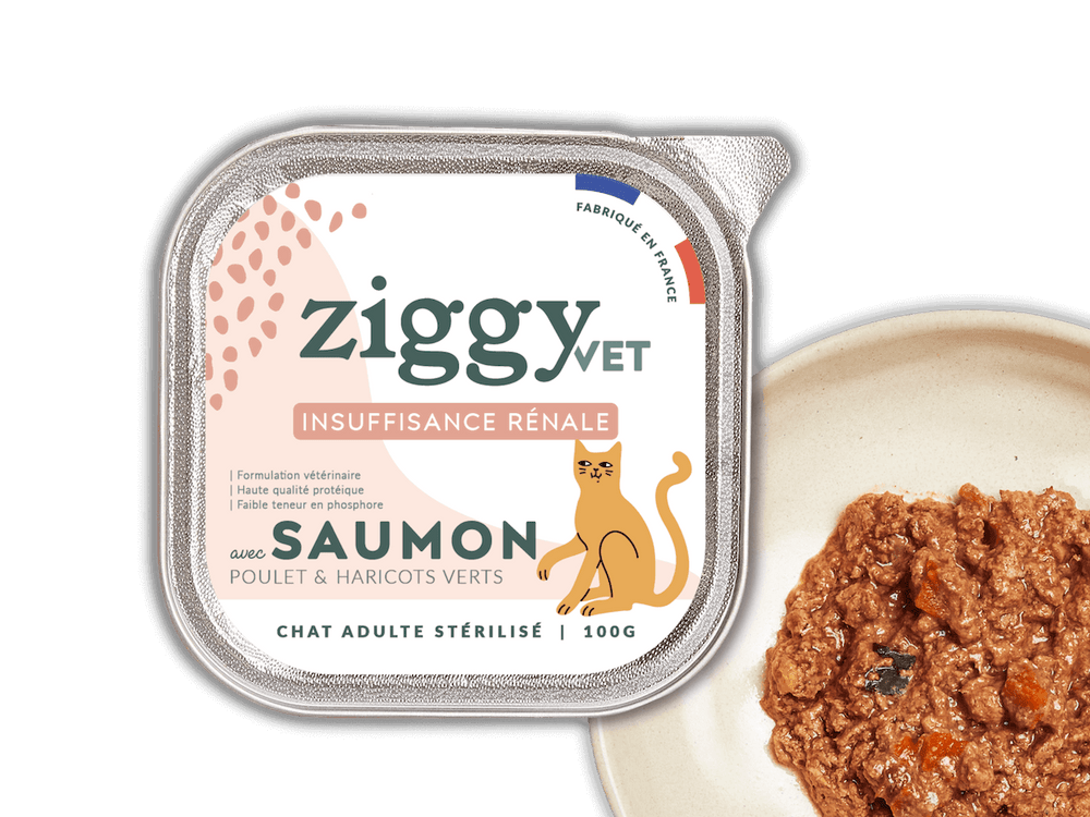 Texture de la pâtée pour chat en insuffisance rénale Chronique (IRC) au saumon Ziggy