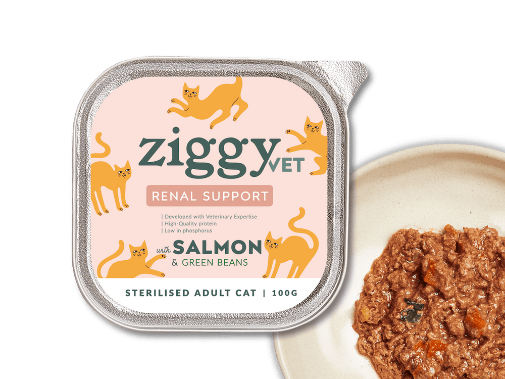 CKD-Nassfutter für Katzen – Lachs