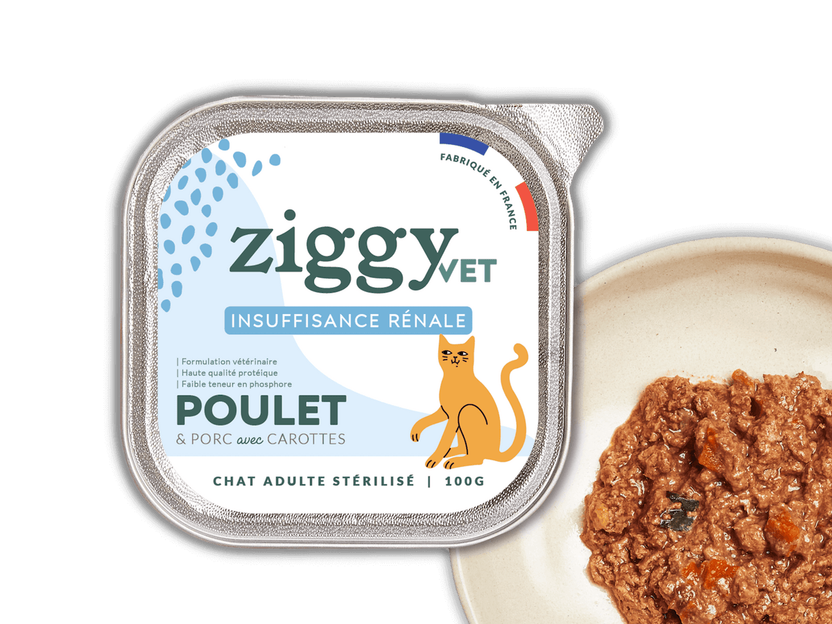 Wet Food for Adult Cats - Chronic Kidney Impairment - CKD – Ziggy Wet Food for Adult Cats - Chronic Kidney Impairment - CKD – Ziggy