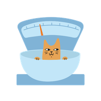 Calculateur de ration pour chat