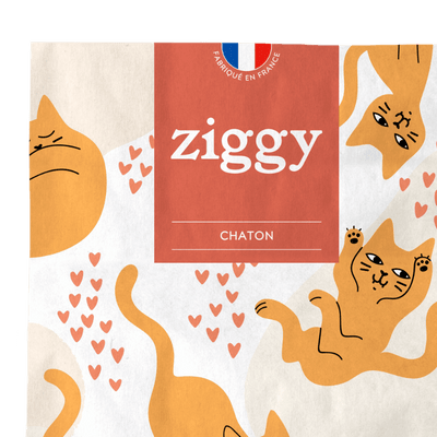 Croquettes pour chaton