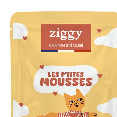 Mousses pour chaton