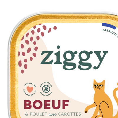 Pâtées pour chat senior