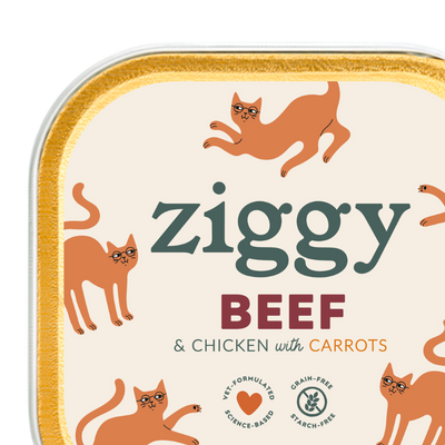 Nassfutter für Senior Katzen