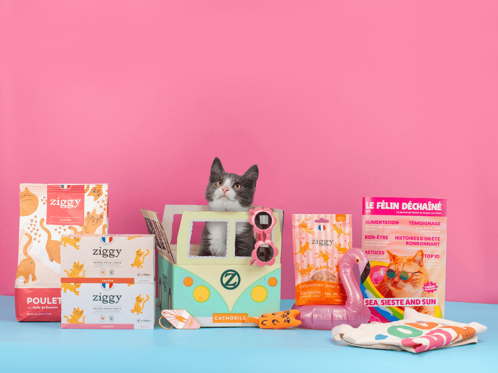 Coffret pour chaton Ziggy