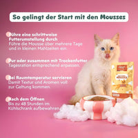 Anwendungstipps der Ziggy Mousse für sterilisierte Kätzchen: Futterumstellung, mit Trockenfutter, 48 Std. haltbar