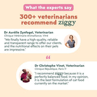 Expert opinions on Ziggy mousses for sterilised kittens: 300+ veterinarians recommend Ziggy