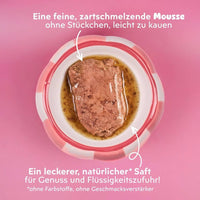 Feine, zartschmelzende Textur der Ziggy Mousse für Senior-Katzen mit Rind, von oben im Napf, mit Soße