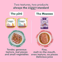 Two Ziggy textures for senior cats: wet food with real pieces and fine, melt-in-the-mouth mousse with gravy